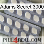 Adams Secret 3000 07